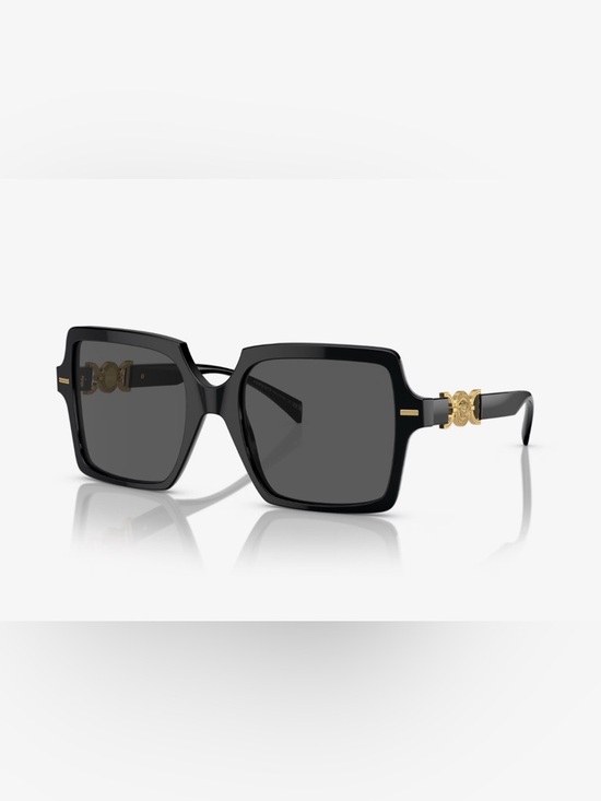 Versace Accessories - Versace full inclusion sunglasses